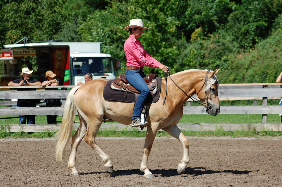 Turnier Trail Haflinger