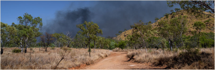 Rauchschwaden von Buschbränden - Purnululu Nationalpark