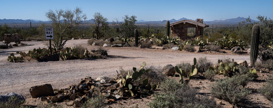 Saguaro Nationalpark West, Saguaro, Signal Hill, Signal Hill Picnc Area