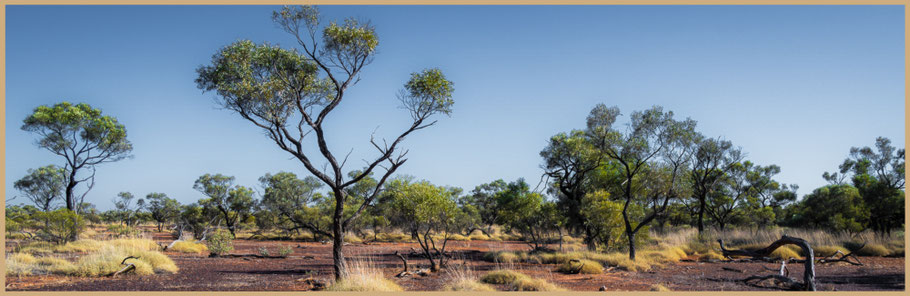 Outback Queensland, Opalton, Bushcamp, Roadtrip, rotes Land, Buschland