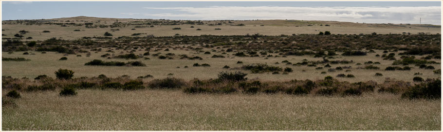 Western Australia, WA, Westaustralien, Roadtrip WA, Indian Ocean Drive, Wheat Belt