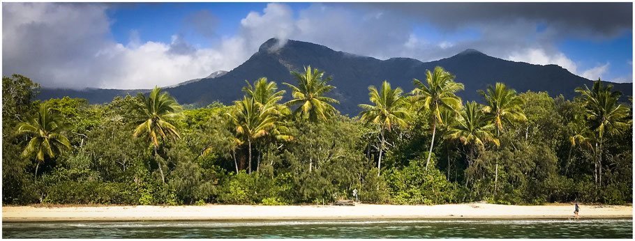 Lynch-Haven Rainforest Retreat, Daintree National Park, Daintree Nationalpark, Coconut Beach