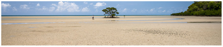 Lynch-Haven Rainforest Retreat, Daintree National Park, Bloomfield Track, Cowie Beach