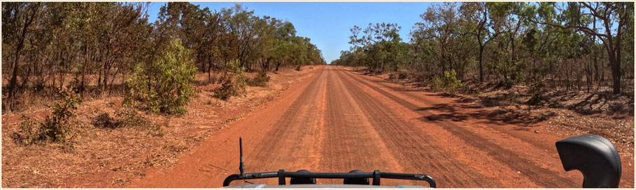 unterwegs auf dem Savannah Way
