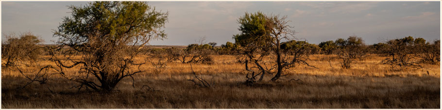 North West Coastal Highway, Wooramel Roadhouse, Roadtrip WA, Roadtrip Westaustralien, Roadtrip