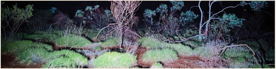 Karijini Eco Retreat, Karijini Nationalpark, Joffre Gorge, Western Australia, Pilbara