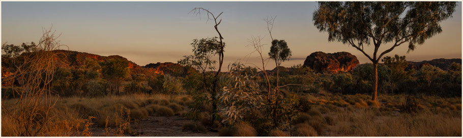 Purnululu Nationalpark, Bungle Bungles, Kimberley, Outback, Sonnenaufgang Purnululu, Purnululu National Park, Kimberleys