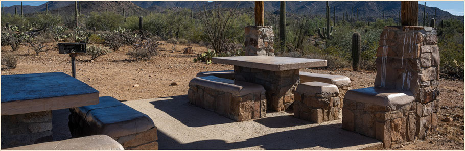 Signal Hill, Saguaro Nationalpark, Tucson, Arizona