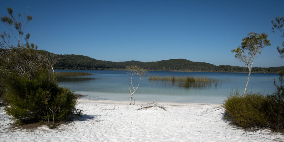 Lake Birrabeen, K'gari National Park, K'Gari, Süsswassersee Fraser Island