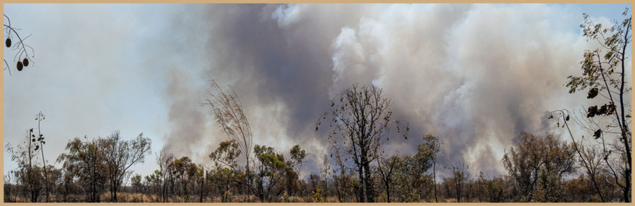 Queensland, Outback, Outback Queensland, Roadtrip Australien, Buschfeuer, Bushfire