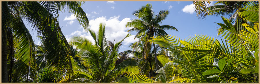 Aitutaki, Cook Islands