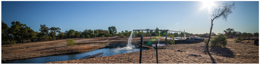 Outback, Charlotte Plain, Artesisches Becken, Heisse Quellen, Artesian Baths