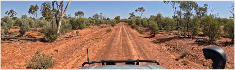 Outback Queensland, Koroit, Australia Bush, Cunnamulla, 4WD, 4x4, Offroad, durch den australischen Busch