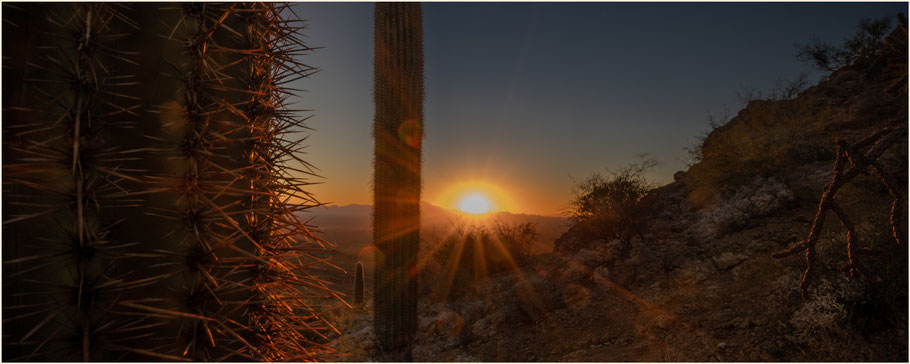 Arizona, Tucson, Saguaro Nationalpark, Sonnenuntergang Gates Pass