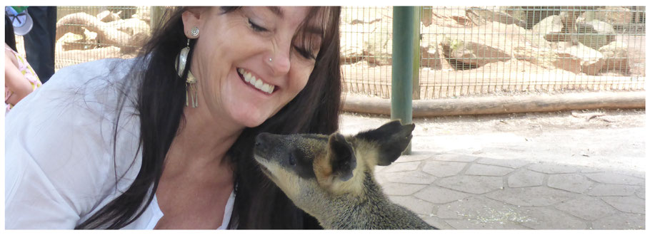 Australien, Australia, Sydney, Featherdale Wildlife Park, Featherdale Park, 