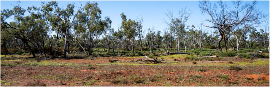 Outback Queensland, Opalmine Queensland, Boulder Opal, Koroit, Opal