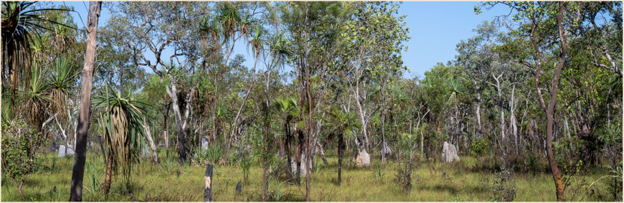 Kakadu Nationalpark, Outback, Northern Territory, Roadtrip Australia