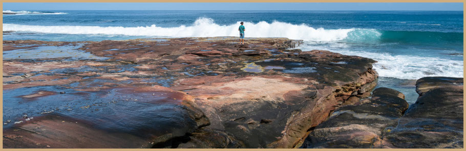 Kalbarri, Kalbarri Nationalpark, Murchison River, Wildflowers, WA, Western Australia, Kalbarri Coast