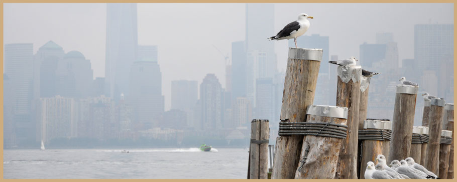 USA, RNew York, Manhattan, Liberty Island, Freiheitsstatue, Ellis Island, Fähre Liberty Island