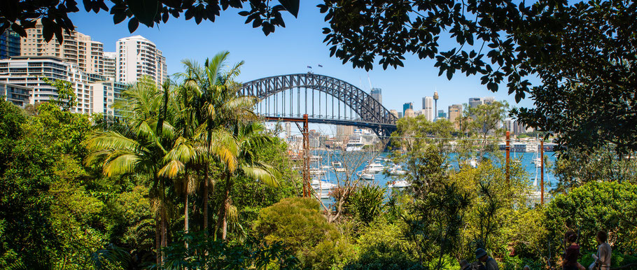 Wendy's Secret Garden, Lavender Bay, Sydney Harbour Bridge, Wendy Whiteley's Secret Garden