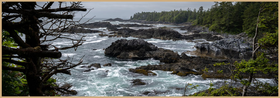 Kanada, Nordamerika, British Columbia, Vancouver Island, Wild Pacific Trail, Ucluelet