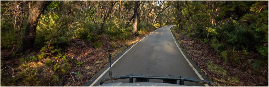 unterwegs in den Blue Mountains - Govetts Leap Road