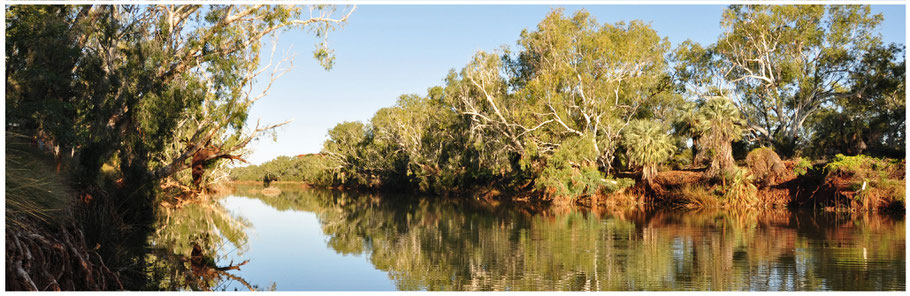 Pilbara, Millstream Chichester NP, Python Pool, Crossing Pool, Fortesque River