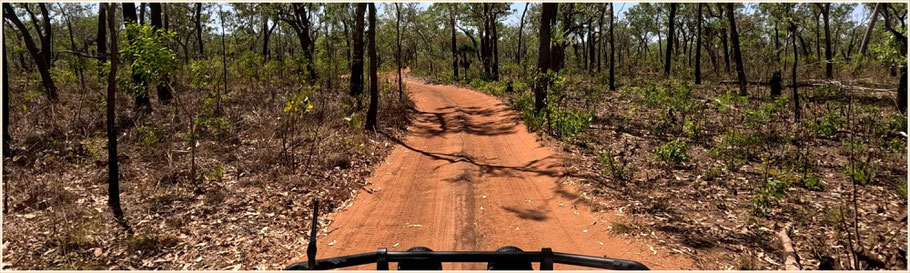 unterwegs zur 'Lost City', Litchfield Nationalpark