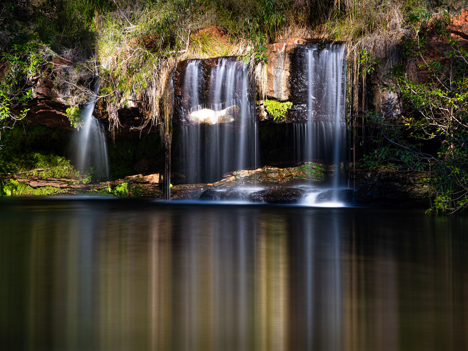 Fern Pool, Dales Gorge, Karijini Nationalpark, Australien