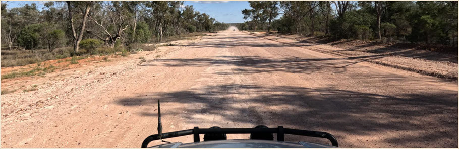 Lightning Ridge, Kängurus, Australian Bush, Outback, Grawin, Club in the Scrub, Opals, Black Opal