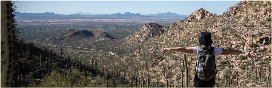 Arizona, Saguaro, Tucson, Hugh Norris Trail, Wassen Peak