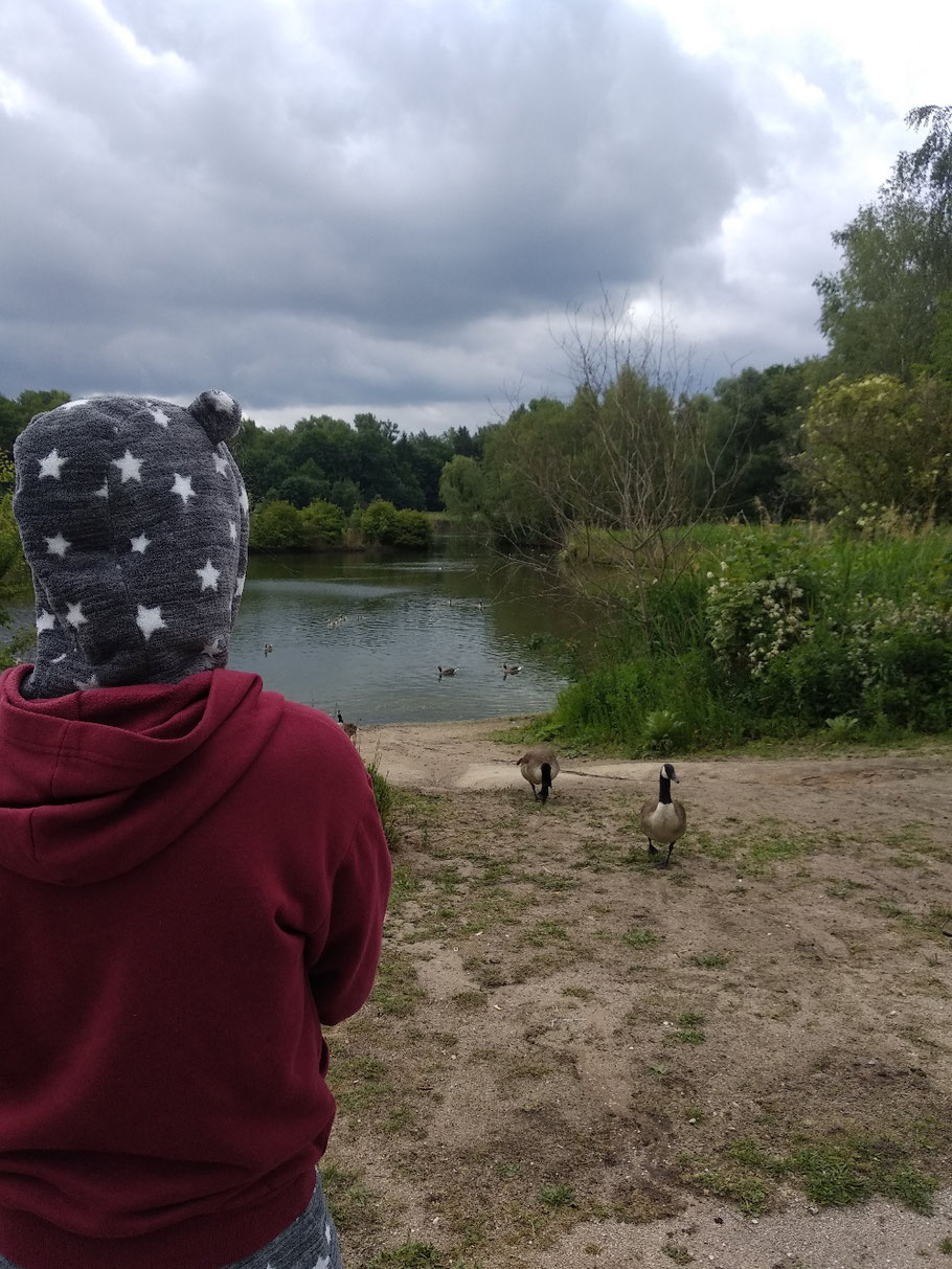 Nicht nur, dass man hier nicht SUPen darf. Das Wetter läd auch nicht dazu ein. Dafür tauchen wir ein bisschen in deutsche Geschichte ein, denn das Reichsparteitagsgelände liegt vor uns und der Silbersee mit Badevorbot ist ein Überbleibsel dieser Zeit.