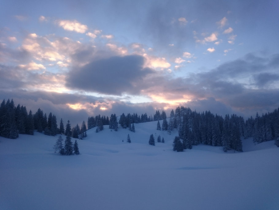 Berg Hund Tal; Hund; Schäfer; Bernhardiner; Almsee; Totes Gebirge; Rotgschirr; Hochpfad; Offensee; Wildensee; Rinnerkogel; Appel Haus; Pühringer Hütte; Seehaus; Alpen; Salzkammergut; Almtal; Grünau