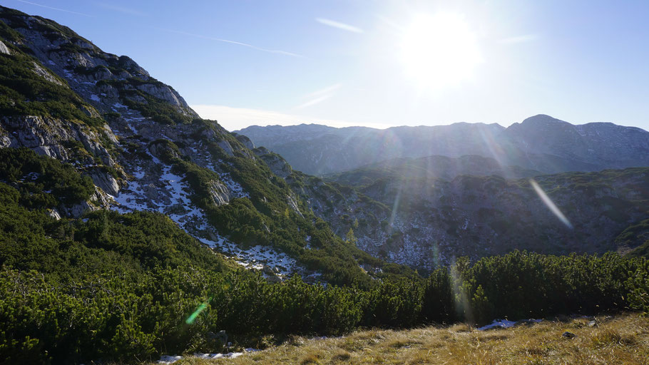 berghundtal, totes gebirge, sam on tour, wandern mit hund, bergsteigen, almtal, oberösterreich,österreich