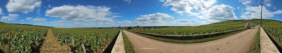 Grande Rue et Romanee-Conti-vendange 2012