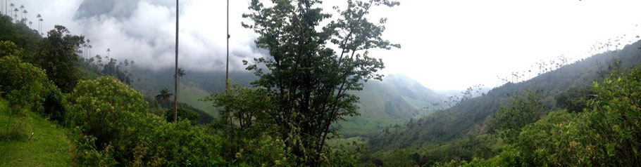 Valle de Cocora