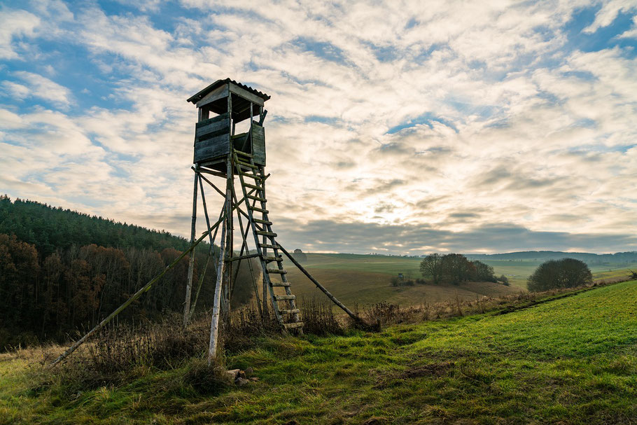 Ein Hochsitz. (Foto: torstensimon)