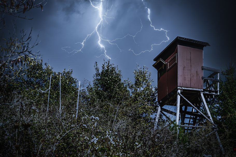 Blitze zucken über einem Hochsitz. (Foto: analogicus)