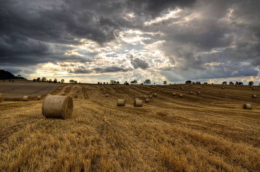 Dunkle Wolken ziehen über ein Feld. (Foto: Thomas Beckert / pixelio.de)