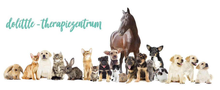 Dolittle Therapiezentrum - Moderne, ganzheitliche Therapien für Ihr Tier.