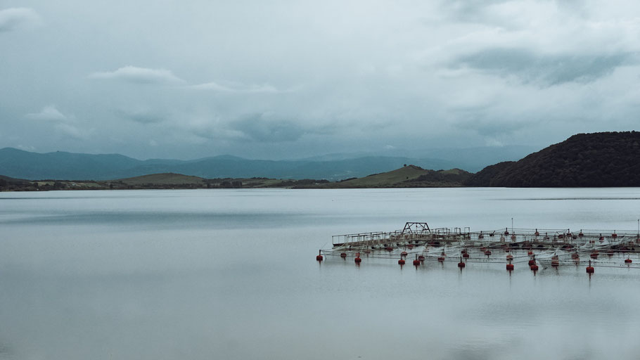 Aquakultur. Bild von Lucut Razvan auf Unsplash. 