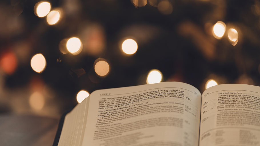 Buch vor Weihnachtsbaum. Bild von Laura Nyhuis auf Unsplash. 