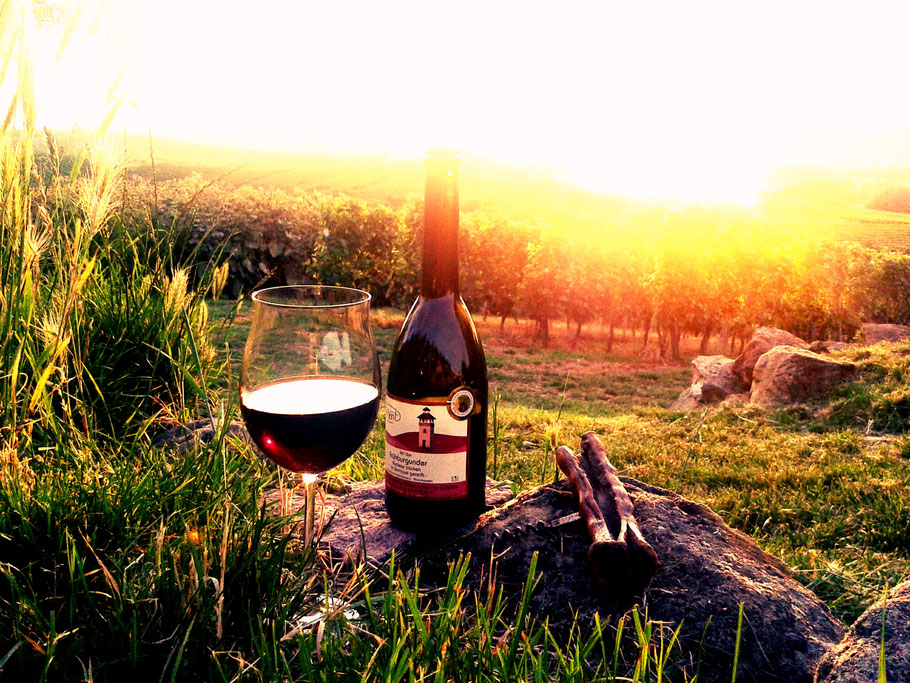 Landschaft - Weingut Heinz-Willi Dechent Saulheim im ...