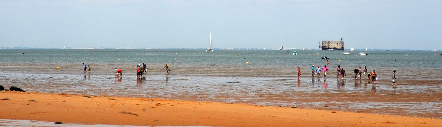 Boyardville - fort Boyard