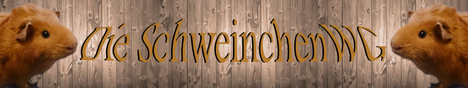 dieschweinchenwgs Webseite!