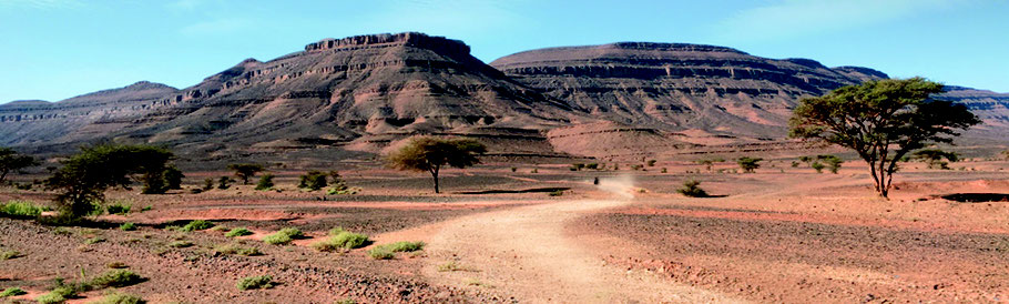 Wüstenpiste in Südmarokko