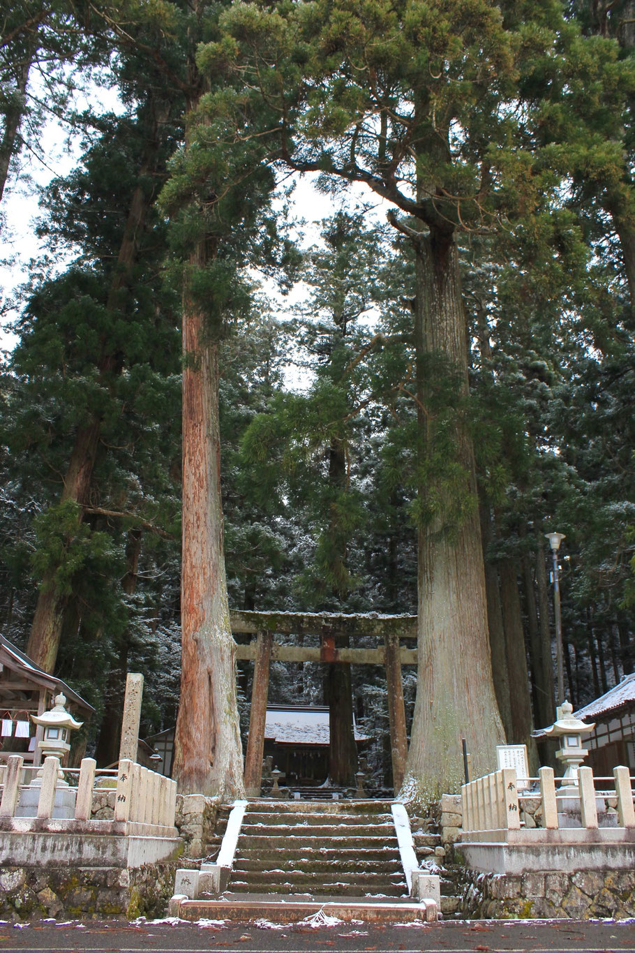 サイクリング 開運 龍神 スポット 奈良県