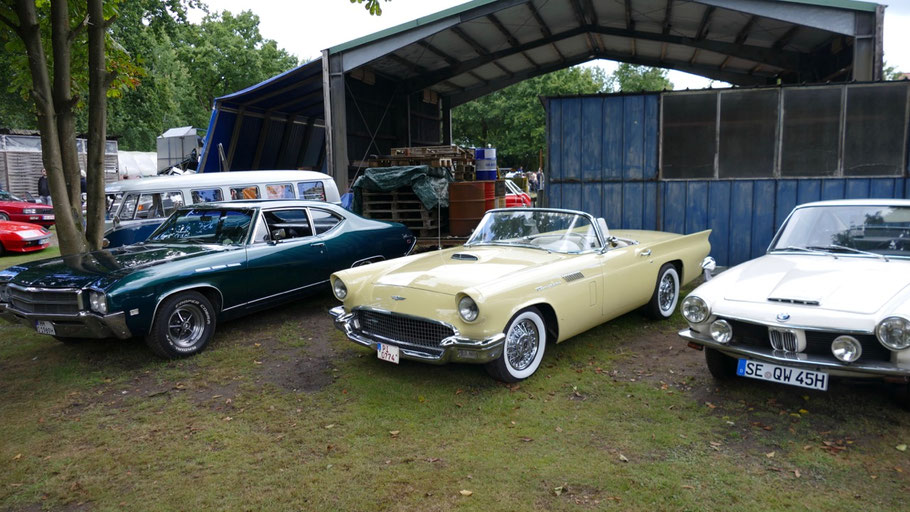 Elegante Cabrios aus den 60er-Jahren waren einige der Highlights