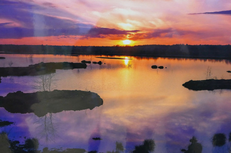 Mit dem ”Rosa Sonnenuntergang" gewann Andreas Schibilla den 2. Preis