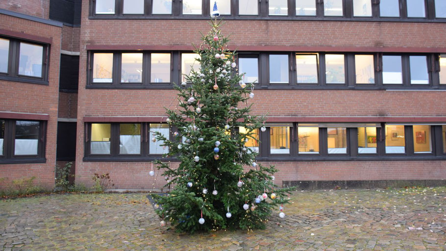 Wie der Weihnachtsbaum auf dem Rathausmarkt entsorgt wird, ist nicht bekannt, private Tannenbäume können an festgelegten Stellen in der Stadt abgegeben werden.